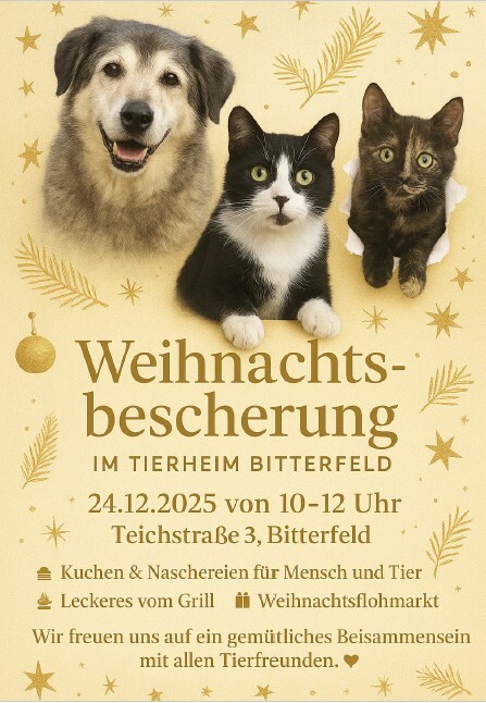 Bild vergrößern: TH Bescherung 24.12.25