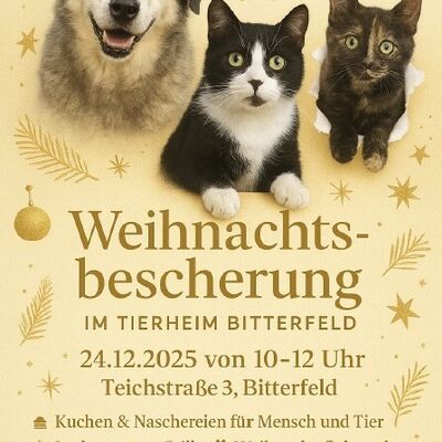 TH Bescherung 24.12.25