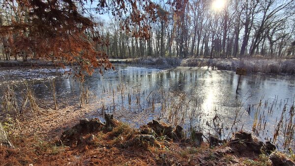 Bild vergr&ouml;&szlig;ern: Foto C�sitzer Park