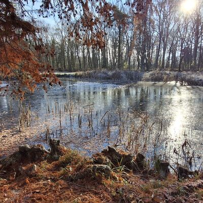 Foto C&ouml;sitzer Park 