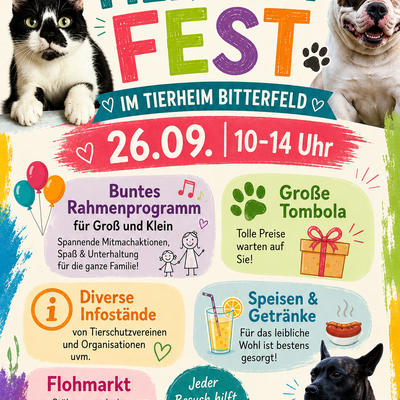 Flyer Tierheimfest 2026