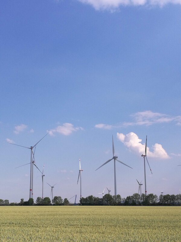 Bild vergrößern: Windrder
